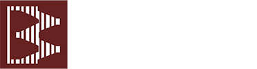 Baykusoglu - Alt Logo